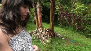 Oh the road to Hana to stop and have Vera suck you off.